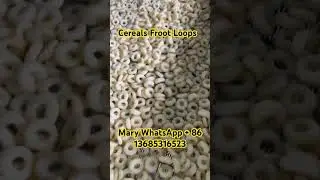 Cereals Froot Loops extrusion double screw extrusion machinery #doublescrewextruder #factory