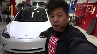 Tesla Model 3 with Ceramic Coating & Clearbra PPF *Water Beading Test*