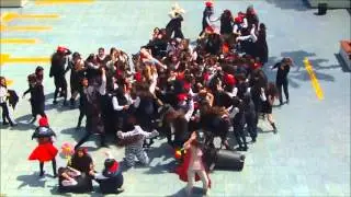 HARLEM SHAKE ALIANZA VAMPIRA