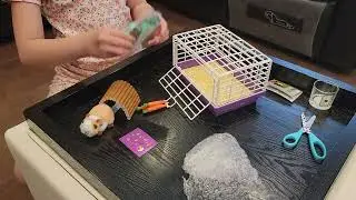 American Girl Courtney's Guinea Pig