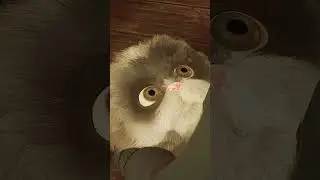 Hufflepuff loses to a puffskein