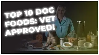 TOP 10 VET-RECOMMENDED DOG FOODS