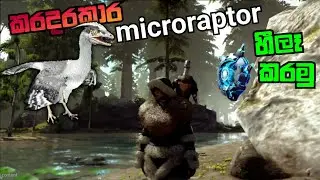 How to tame microraptor ark | sinhala guide 