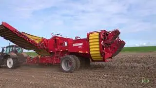 Paul Crijns rooit Lady Rosetta pootgoed bij Coos en Henderika Van Splunter, met een GRIMME SV 260.