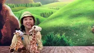 Historia de niños LAS JIRAFAS- Momento Infantil