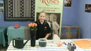 Oregan Mann Roses 2 Go 1.MPG