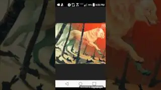 Dear rabbit audio