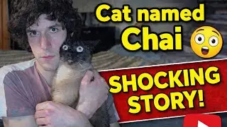 Cat named Chai Official Music Video