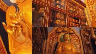 Auroville & Dharamsala-video 34: Palpung Sherabling Monastic Seat, 2 Oct 2016