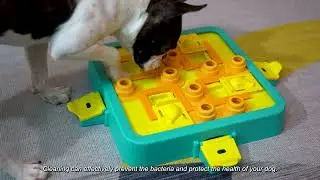 KADTC Dog Puzzle Chess Toy Products All round Display