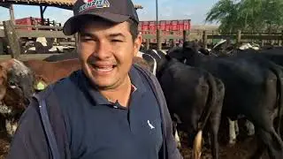 Feira do gado do alto Sertão Monte Alegre Sergipe 15 janeiro  2026