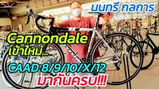 จักรยานเสือหมอบ Lot ใหม่ Cannondale CAAD 8/9/10/X/12 มากันครบ จากนนทรี กลการ