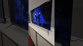 SHARP AQUOS OLED! SHARP IS BACK IN 2024! #SHARPOLED #XLED #SHARPAQUOS