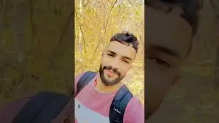 America donkey route 🇺🇲🇺🇲🇺🇲🇺🇲 #punjabisong #punjabi #newsong #music