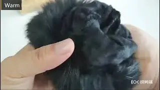 Luxury fur touch screen women s genuine leather gloves winter female sheepskin with rabbit ladies