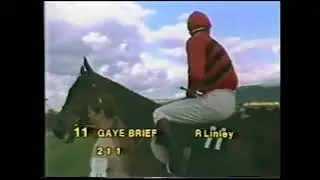 1983 Champion Hurdle Cheltenham Extended footage