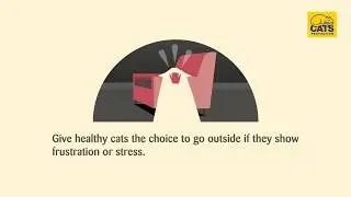 Indoor cat 🏠 or outdoor 🌳 cat? | Advice from Cats Protection
