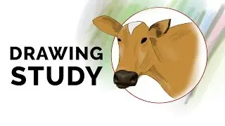 Cow Head Drawing Study | Face drawing | Character Drawing | Animal Drawing | cute pose study