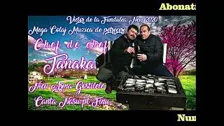 SARBA INSTRUMENTALA LUI TANAKA DE LA GOSTILE VIORA LUCIAN CLARINET BIBESCU SI VICTOR DE LA FUNDULEA