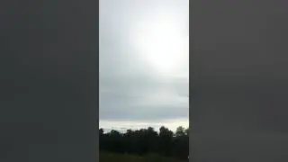 Поле конопли в Хакасии, треста-тест, волокно