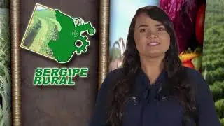 Sergipe Rural - PROGRAMA 237