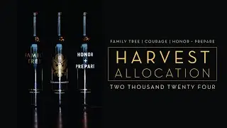 Saarloos and sons | Harvest Allocation | 2024