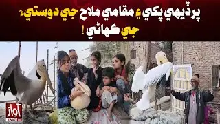 The Story of a Foreign Bird and a Local Fisherman&rsquo;s Friendship | Breaking News | Awaz Tv News