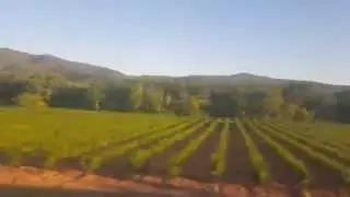 Belle vue depuis le train entre Gonfaron et Carnoules (Var, France)
