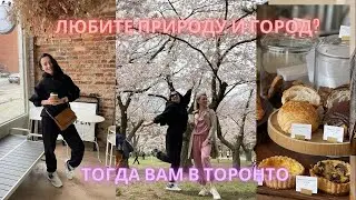 Самый зелёный мегаполис в мире-Торонто! Много вёсны вам во влог!