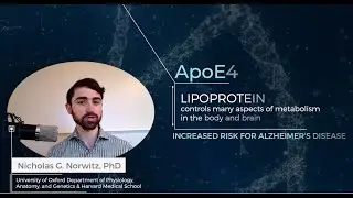 Точное питание для профилактики болезни Альцгеймера у носителей ApoE4 — Видеореферат