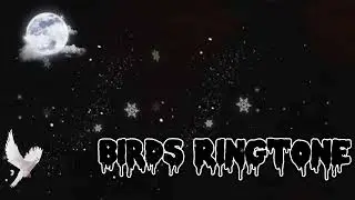 Bird Ringtone| New Mobile Ringtone| Sad Ringtone| New Instrumental Flute Ringtone 2022 |SMR Ringtone