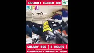 #transguard #loading #luggage #dubaijobseekers #aircraft #uaejobs #gulfjobs #dubaijobs #loader