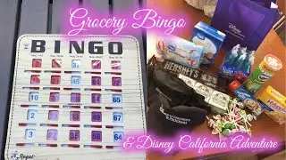 Grocery Bingo + DCA | DLRCP '19