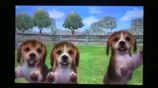 nintendogs + cats série : épisode 1 