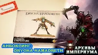 Архивы Империума - Sylvaneth: Drycha Hamadreth