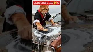 Old Cars To Riches #aigenerated #aicatvideo #aicatstories