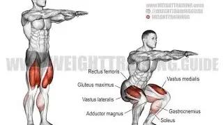 Bodyweight squats - simple and effective workout பை டெக்-மிக எளிய உடற்பயிற்சி