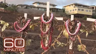 The Stand | Sunday on 60 Minutes