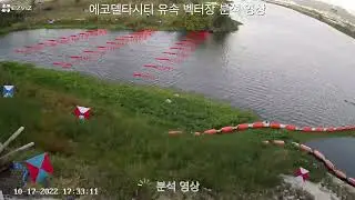 부산 EDC(에코델타시티) 세물머리 유속 벡터장 분석 영상
