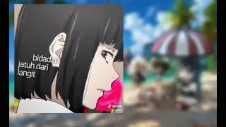a collection of very funny random BSD videos 