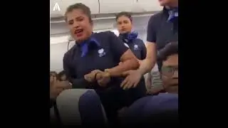 ✈️ Flight Fight! What really happened on that Indigo plane?