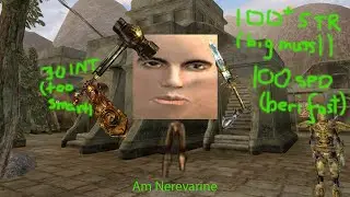 Morrowind, but only with the Stuff I Need (and pants)