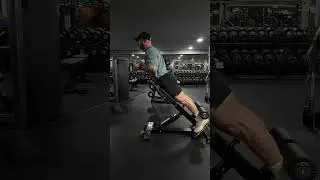 GHD 45 Degree Lower Back Extension