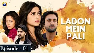 Ladon Mein Pali Ep 1 - Sajjal Ali - Maya Ali - Affan Waheed