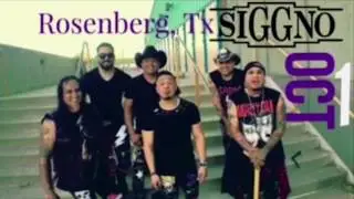 Fort Bend County Fair - Grupo Siggno for FBCFA