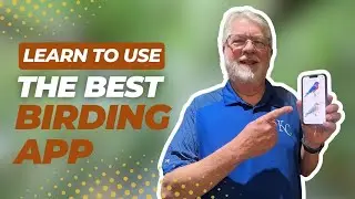 How to Use the Sibley Bird App V2 | Complete Guide for Birders