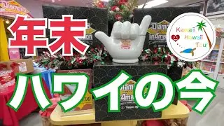 ハワイの今【悪天候つづき？】でも安心のどこでもプライベートツアー