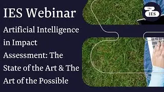 Artificial Intelligence in Impact Assessment: The State of the Art & The Art of the Possible