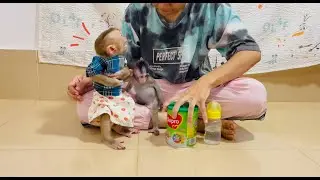 Koi is sittinq wo0rri while hunqry Jasmine biq loudly voice to f0rce mom for milk