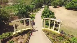 IBSUniversity
